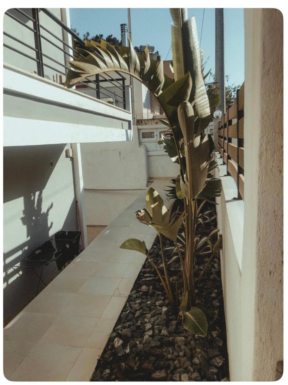Rosemary Modern House In The City Center Corinth Exterior photo
